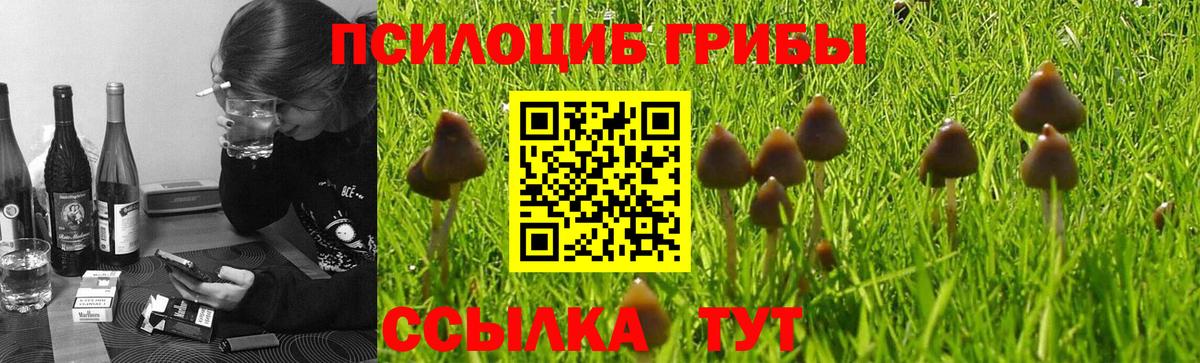 Псилоцибиновые грибы ЛСД Кстово